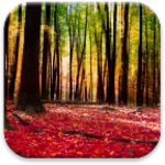 Logo of Autumn Landscape Live Wallpaper android Application 