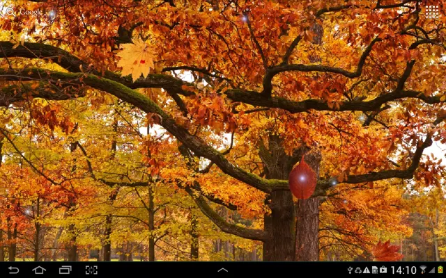 Autumn Landscape Live Wallpaper android App screenshot 4